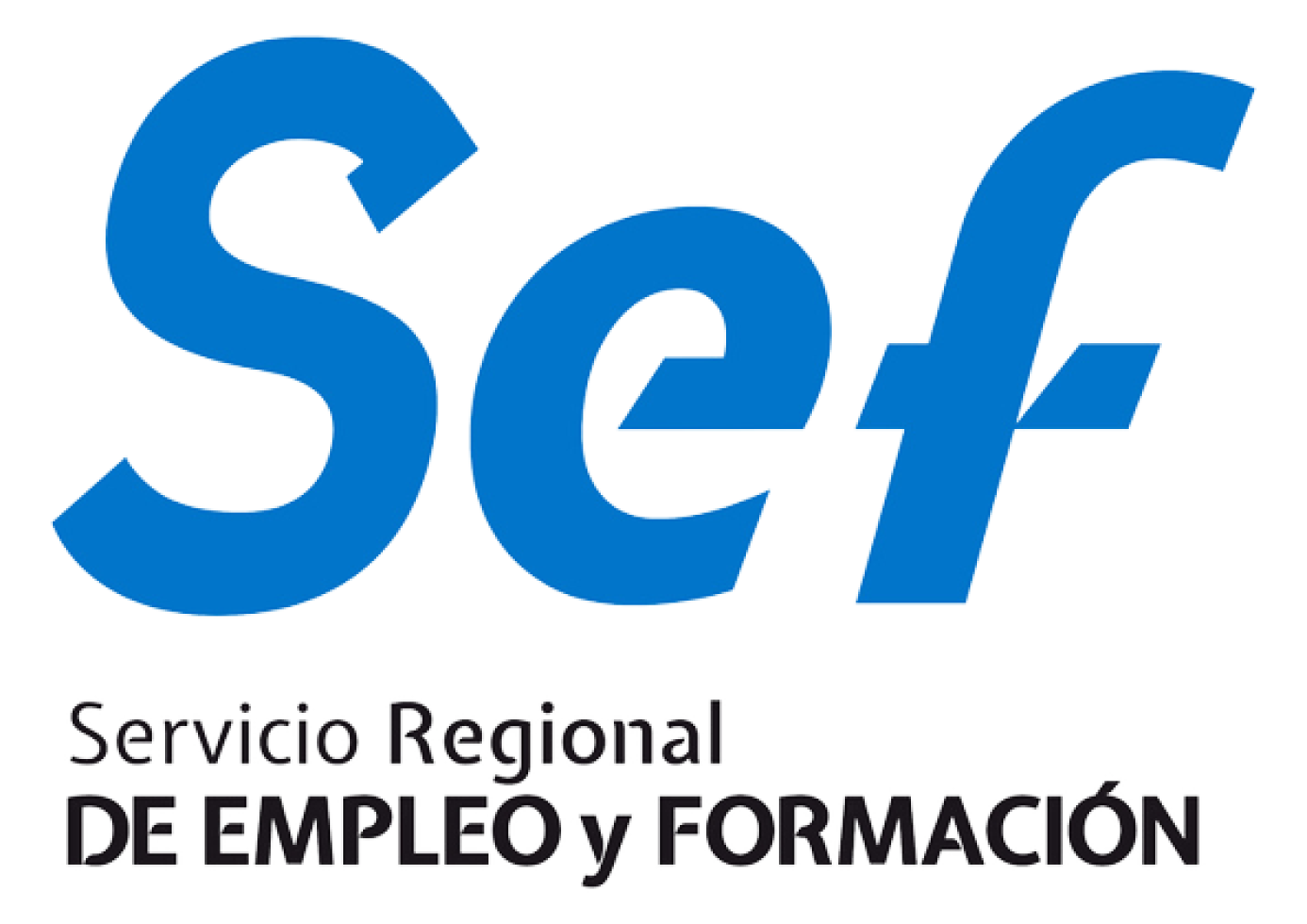 SEF_partner